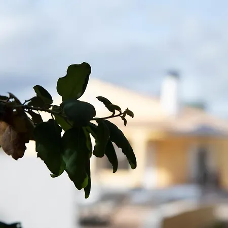 Casa Portus - *