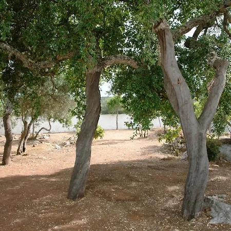 Casa Portus - *